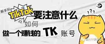 做为新手玩TIKTOK要注意什么？怎样才能做一个能赚钱的TIKTOK账号？