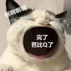 芭比Q了，黑五网一Prime专享折扣竟然还有人没提交？