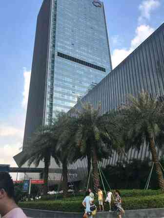深圳跨境电商公司面试一周体验