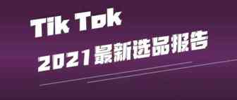 爆红的tiktok选品报告