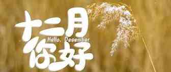12月你好！（总结篇）