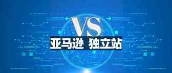 转型独立站除了烧钱，卖家还能如何抢夺流量？