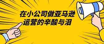 在小公司做亚马逊运营的辛酸与泪