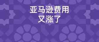 亚马逊收费站：卖家平均站内费用比涨至34%