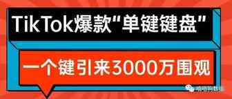引来3000万围观的TikTok爆款机械键盘，只有一个键？ | 嘀嗒狗