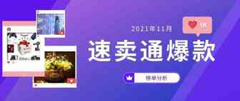 2021年11月速卖通爆款榜单分析