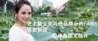 史上最全亚马逊品牌分析(ABA)详细解读 ----附神仙图文插件