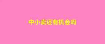 跨境的尽头仍是上市？多家大卖接连IPO……