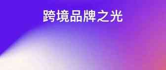 创先河！89个年度跨境电商知名品牌出炉！头部大卖纷纷上榜