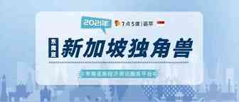 荟萃 | 新加坡独角兽2021年12月版