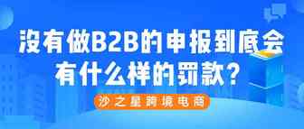 没有做B2B的申报到底会有什么样的罚款？