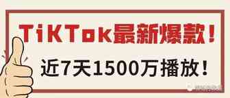 7天1500万播放！这款TikTok爆火的“水杯清洗器”给厨房来点新花样！ | 嘀嗒狗