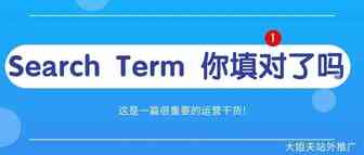 Listing优化之ST关键词--Search Term你填对了吗？