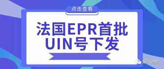 重要通知：法国EPR首批超600个UIN下发！如何判断自己的UIN是否有效？