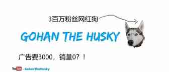 砸3000美金投资百万YouTube网红，惨遭0单!网红不带货?