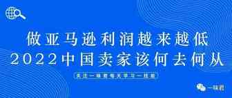 做亚马逊利润越来越低，2022中国卖家该何去何从？