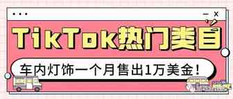 “LED车载表情灯”，汽车类目也能在TikTok上种草，获得大量订单？| 嘀嗒狗