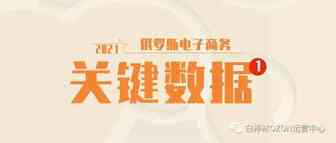 数据控们，来！2021俄罗斯电商的关键数据，全在这里，快来看看有没有你想要的！