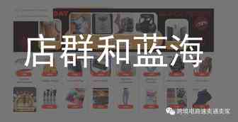 早期做店群，后期玩蓝海