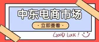 中东地区成新兴潜力市场，这九大电商平台流量最多！