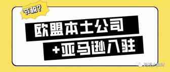 欧盟税改，注册欧盟本土公司入驻亚马逊，真的能节税吗？
