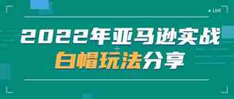 2022年亚马逊实战白帽玩法分享