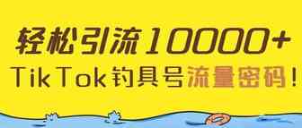 独立站轻松引流1万＋，TikTok钓具号的流量密码！