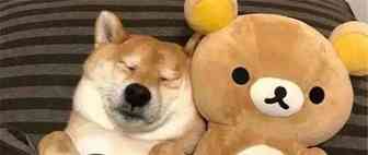 我钱不多，能做亚马逊吗？