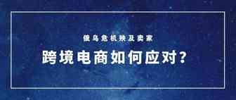 俄乌危机下国际物流成本飙升，跨境卖家如何应对？