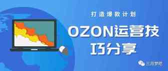 这是来自一个开了 “287家Ozon店铺的卖家” 运营出单的秘籍和思考！