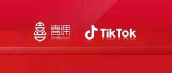 2022年TikTok最新下载方法！免费送苹果IOS、安卓系统海外版抖音高清下载思维导图教程