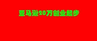 亚马逊创业起步20万最适合做什么产品？