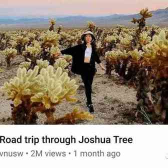 YouTube 添加了 TikTok 风格的直播铃声以显示频道何时播放