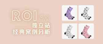 30天卖出400万美金的袜子独立站是怎样练成的？