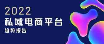 2022私域电商平台趋势报告