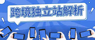 跨境大卖争相布局，独立站是最终出路吗？