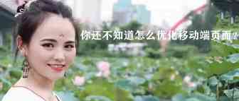 后台新增移动端数据，移动端流量占比这么高，你还不知道怎么优化移动端页面？