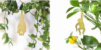 突发！植物动物装饰品速卖通版权投诉：国作登字-2021-F-00249481