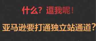 新计划Buy with Prime-亚马逊要打通独立站接口？