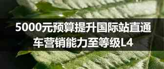 5000元预算提升国际站直通车营销能力至等级L4