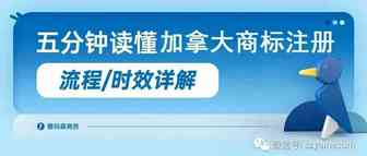 一文读懂法国WEEE，电池法标识最新样式