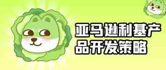 亚马逊利基产品开发策略