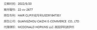 19.古董发夹专利维权立案，坑苦了各大售卖这款发夹的卖家（附可维权早期台湾专利）