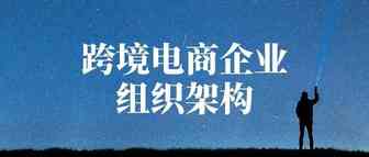 跨境电商最适合的四种组织架构，第二种最多人用，但是......