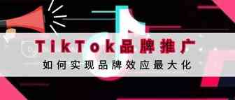 TikTok品牌推广，如何通过Tik Tok实现品牌效应最大化?