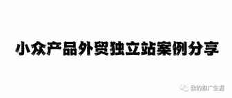 小众产品外贸独立站案例分享