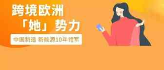服她！成功转型亚马逊，新能源界Top1，中国制造扎根欧洲，凭什么？