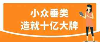 年销额高达10亿！小众产品也能逆风翻盘！亚马逊汽配卖家如何一路做大做强？