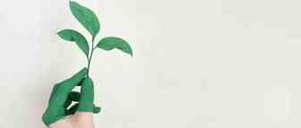 内卷的开始，干才有希望！
