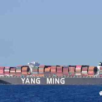 YANG MING 和 HMM 被一家美国美食生产商指控串通操纵运费